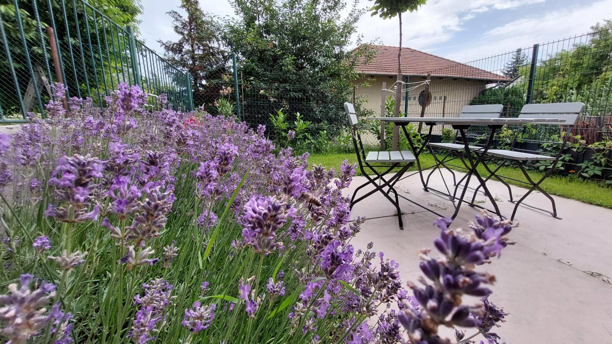 Balatonalmádi Miniszilva Apartman מראה חיצוני תמונה